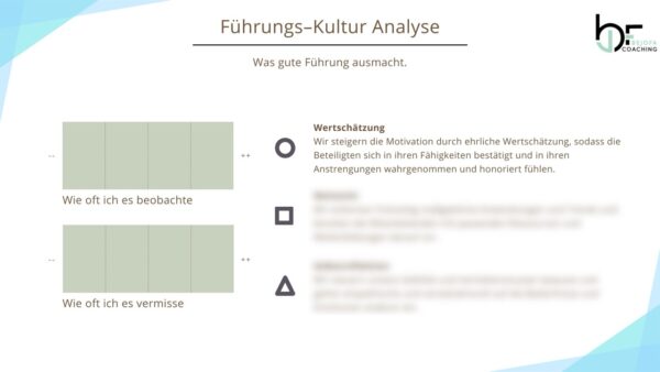 Beispiel DE Kultur-Analyse Vorlage