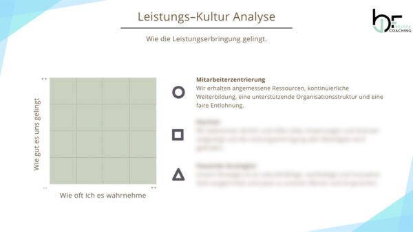 Beispiel DE Kultur-Analyse Vorlage