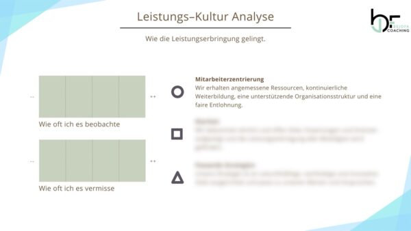 Beispiel DE Kultur-Analyse Vorlage