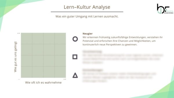 Beispiel DE Kultur-Analyse Vorlage