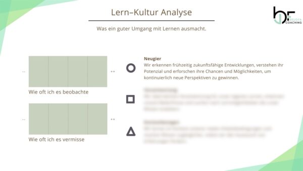 Beispiel DE Kultur-Analyse Vorlage