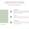 Example EN Culture-Analysis Template