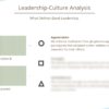 Example EN Culture-Analysis Template