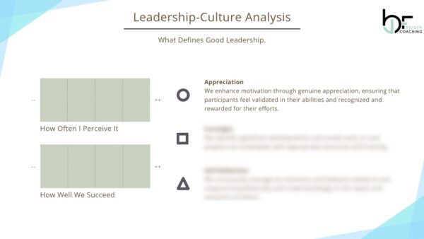 Example EN Culture-Analysis Template