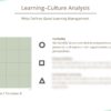 Example EN Culture-Analysis Template