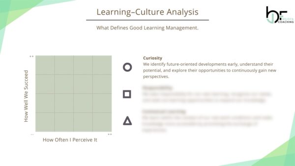 Example EN Culture-Analysis Template