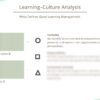 Example EN Culture-Analysis Template