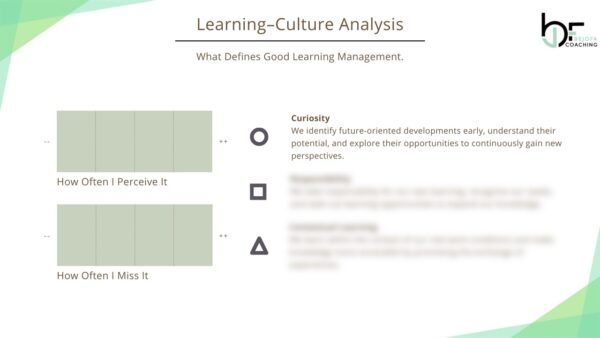 Example EN Culture-Analysis Template